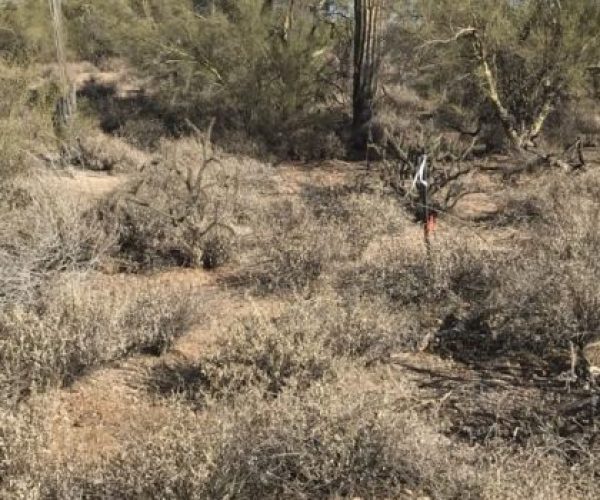 img_0540-e1518029130296-900x350-1