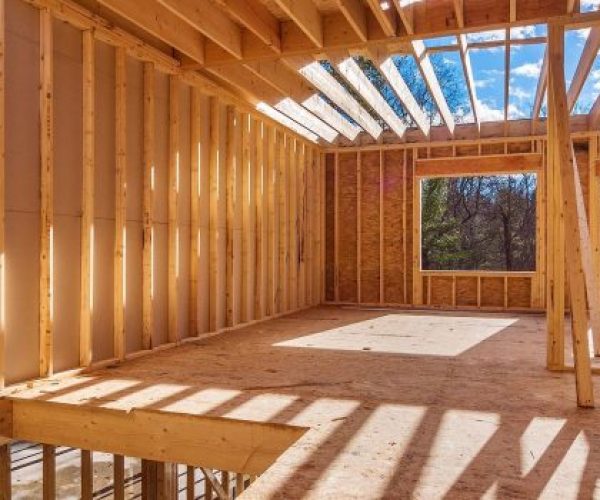 qtq80-AnafXX-900x350-1